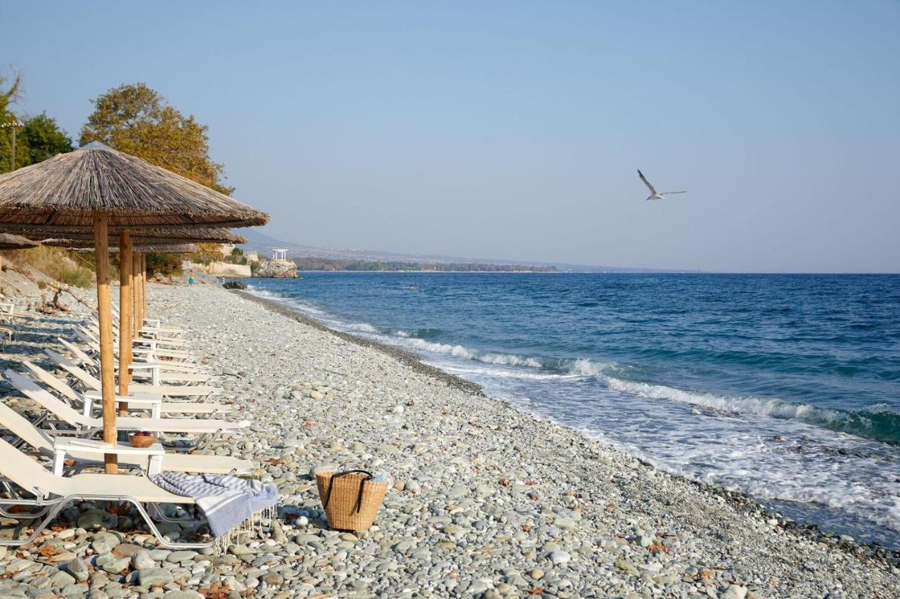 Hotel Alkyonis Platamonas Exterior photo